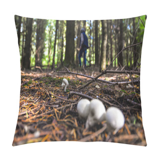 Personality  Wild Mushrooming Picking Pillow Covers