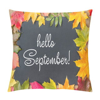 Personality   Hello September Lettering Card. Concept Of The Fall Season. Pillow Covers