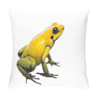 Personality  Black-legged Poison Frog On White Pillow Covers