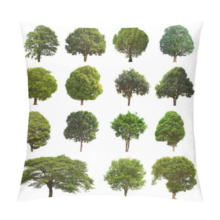 Personality  Isolated Tree Green Set Is Located On A White Background.Collection Of Isolated Tree Green On White Background Tropical Tree Pillow Covers