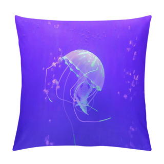 Personality  Jellyfish, Is The Important Large Plankton In Sea, Belong To Cnidarians Pillow Covers