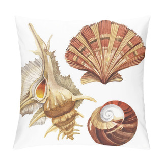 Personality  Seashells Tropical Elements Isolated On White. Watercolor Background Illustration Set.  Pillow Covers