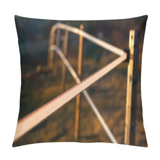 Personality  Electric Fence In Evening Light Pillow Covers