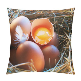 Personality  Chicken Eggs In The Straw With Half A Broken Egg In The Morning Light. Pillow Covers