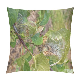 Personality  Web Pests On The Leaves Of Apple Trees, Russi Pillow Covers