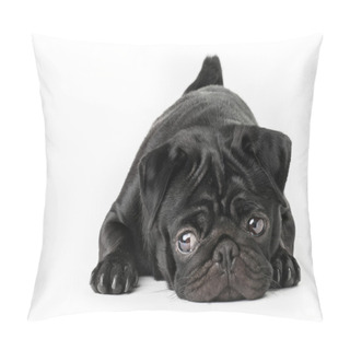 Personality  Black Pug Dog Pillow Covers
