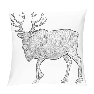 Personality  North Reindeer Caribou. Vintage Vector Illustration In Sketch Style Pillow Covers