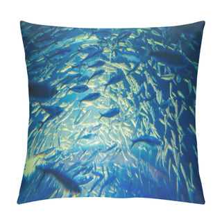 Personality  Shoal Of Red Yellow Tropical Fishes In Blue Water Pillow Covers
