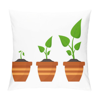 Personality  Gardening. Phases Plant Growing. Planting. Seeds Sprout In Flower Pot. Infographic And Evolution Concept. Vector Pillow Covers