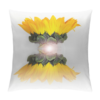 Personality  Abstract Sunflower Pillow Covers