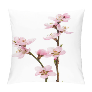 Personality  Cherry Blossom, Sakura Flowers Pillow Covers
