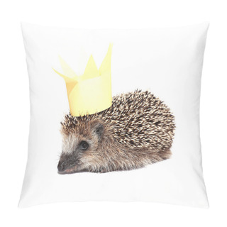 Personality  Small Forest Hedgehog With A Crown On The Head Isolated Pillow Covers