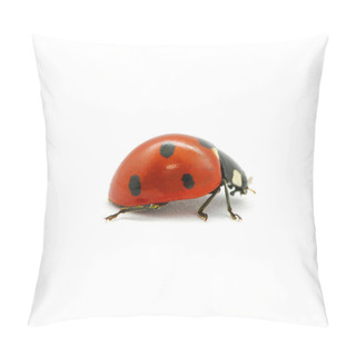Personality  Ladybug Pillow Covers