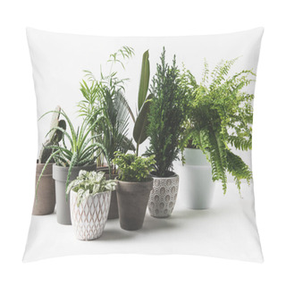 Personality  Various Beautiful Green Plants In Pots On White  Pillow Covers
