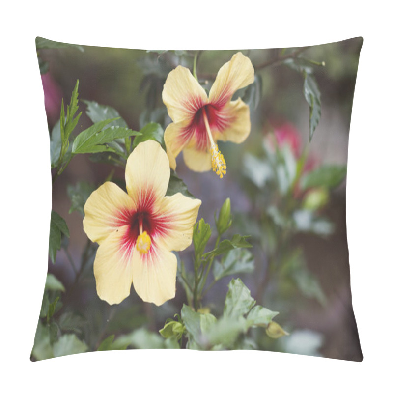 Personality  Closeup of yellow and red China rose pillow covers