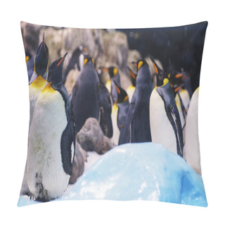 Personality  Group Of  Penguins In  Zoo. Pillow Covers