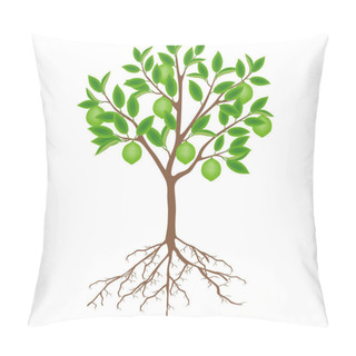 Personality  Lime Tree With Fruits And Roots On A White Background. Pillow Covers