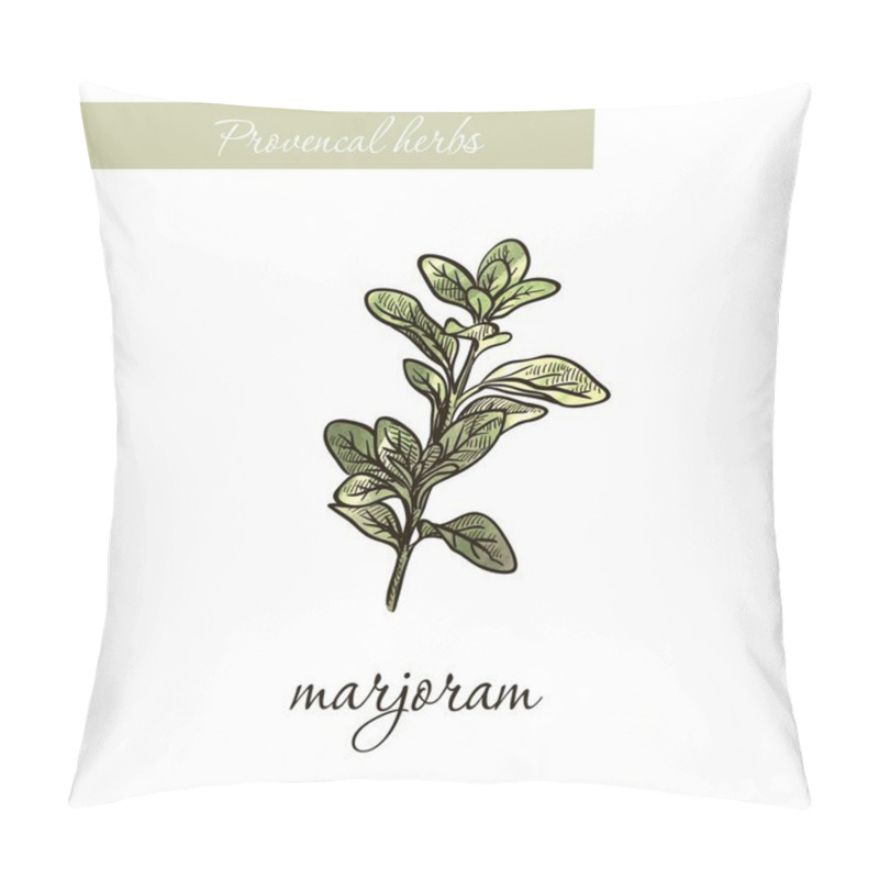 Personality  marjoram. natural spices and herbs. sketch on white pillow covers