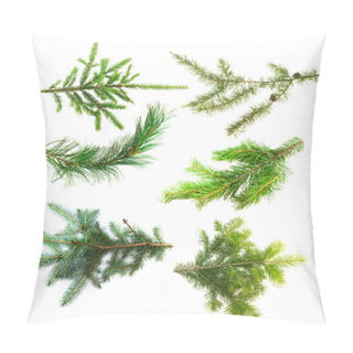 Personality  Set Of Branches Of Coniferous Trees Isolated On White Background Pillow Covers