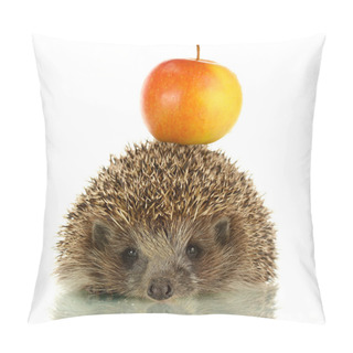 Personality  Hedgehog With Apple, Isolated On White Pillow Covers