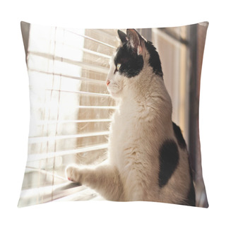 Personality  Cat Looking At The Window Pillow Covers