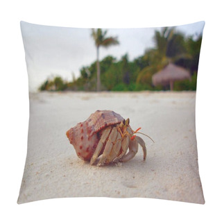Personality  The Maldives, Officially The Republic Of Maldives, Is A Small Island Nation In South Asia Pillow Covers