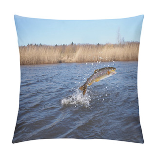 Personality  Jumping Out From Water Salmon   Pillow Covers