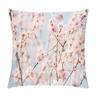 Personality  Beautiful Cherry Tree Flowers Pillow Covers
