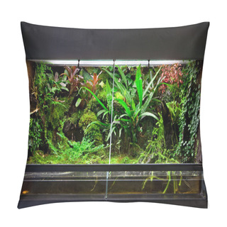 Personality  Rain Forest Terrarium Pillow Covers