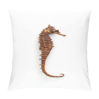 Personality  Seahorse Pillow Covers