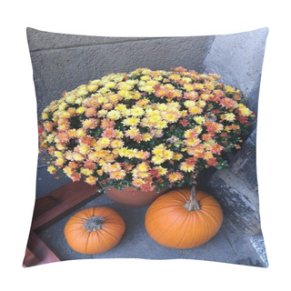 Personality  The Colors Of Autumn. Blooming Yellow Chrysanthemums And Decorative Pumpkins As A Symbol Of Autumn. Pillow Covers