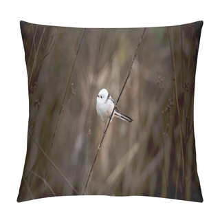 Personality  Long-tailed Tit Aegithalos Caudatus Sitting On Branch Of Tree. Cute Little Fluffy Bird In Wildlife. Pillow Covers