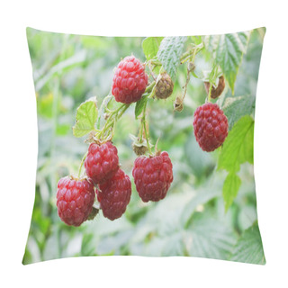 Personality  Raspberry Berries Pillow Covers