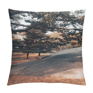 Personality  Grey Stone Under Green Trees On Lawn In Central Park Of New York City Pillow Covers