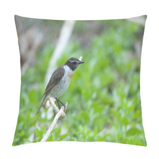 Personality  Male Of Canary Islands Stonechat Saxicola Dacotiae. Pillow Covers