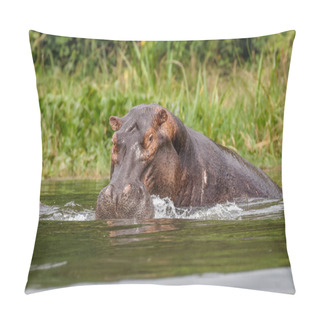 Personality  The Common Hippo (Hippopotamus Amphibius) Closing His Big Mouth, Murchison Falls National Park, Uganda. Pillow Covers