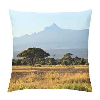 Personality  Amboseli National Park Pillow Covers