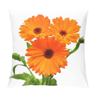 Personality  Flower Of Calendula Officinalis Bouquet With Leaves Isolated On White Background. Marigolds, Medicinal Plants. Golden Petals. Flat Lay, Top View. Floral Pattern, Object Pillow Covers