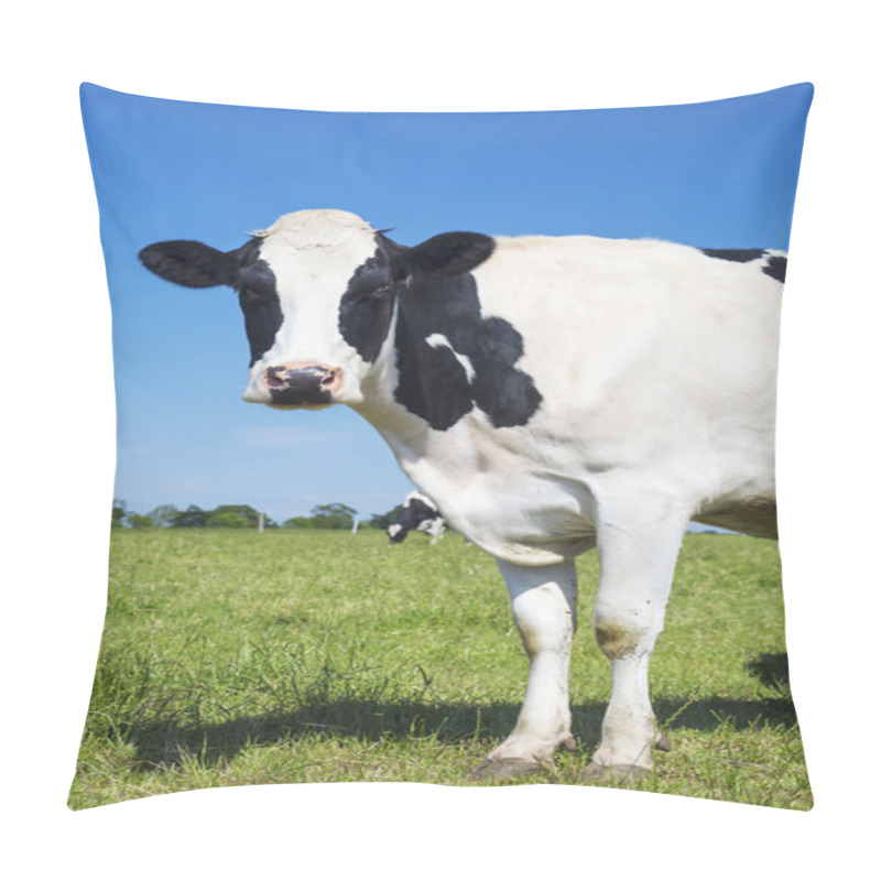 Personality  View of beautiful cow on green grass pillow covers
