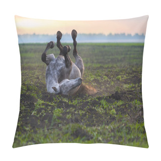 Personality  Grey Horse Lying Pillow Covers