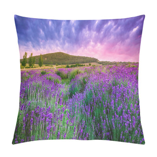 Personality  Sunset Over A Summer Lavender Field In Tihany, Hungary Pillow Covers