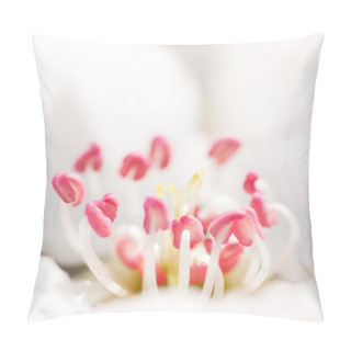 Personality  Flower Of Pear Tree Pillow Covers