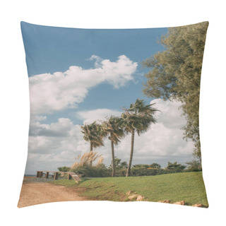 Personality  Sunlight On Green Palm Trees Near Grass Against Blue Sky With Clouds  Pillow Covers