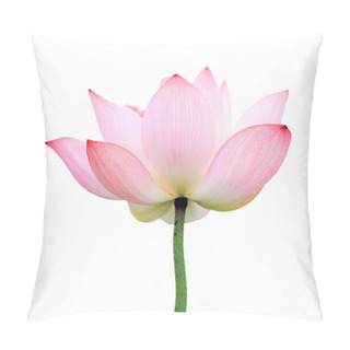 Personality  Isolated Lotus Pillow Covers