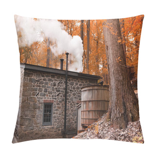Personality  Smoking Chimney House In Forest. Landscape With Little House In Autumn Forest. Smoke From A Chimney. Pillow Covers