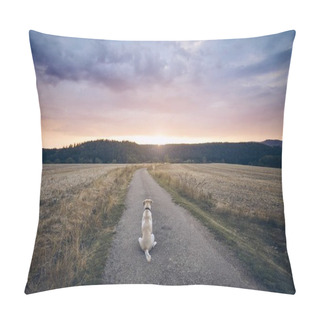 Personality  Rear View Of The Sad Dog. Loyal Labrador Retriever Waiting On The Rural Road At Sunset. Pillow Covers