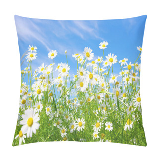 Personality  White Daisies Pillow Covers