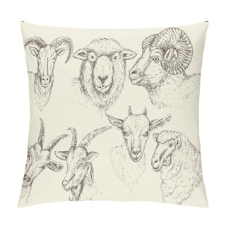 Personality  Farm Animals Heads Pillow Covers