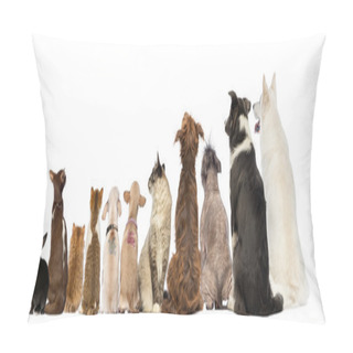 Personality  Rear View Of A Group Of Pets, Dogs, Cats, Rabbit, Sitting, Isola Pillow Covers