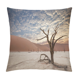 Personality  Namib Desert Sossusvlei Salt Lake Pillow Covers
